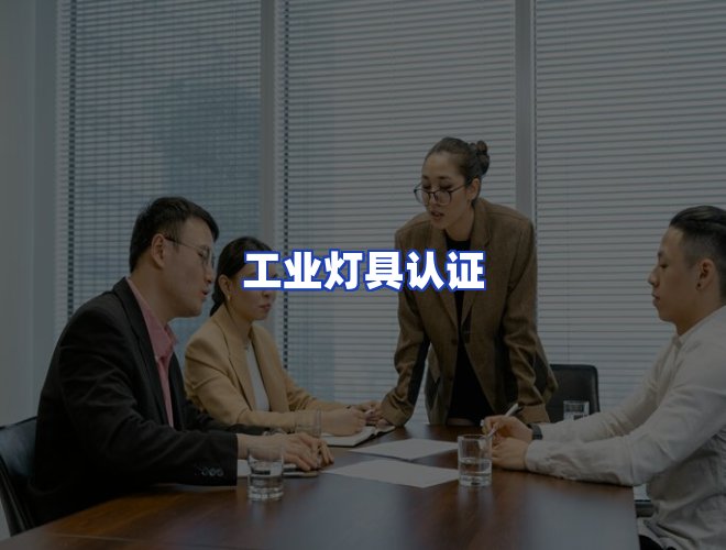 专业团队